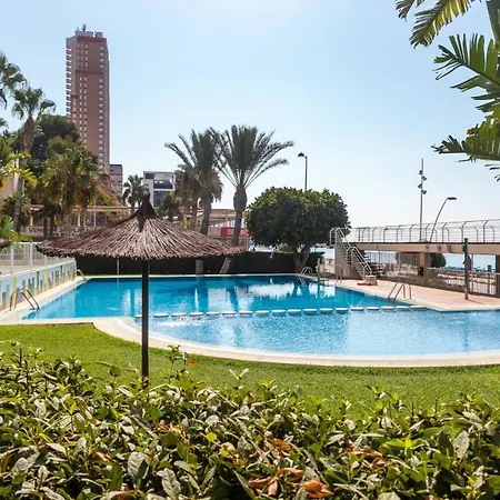 Апартаменты Vip Olivar Poniente Бенидорм